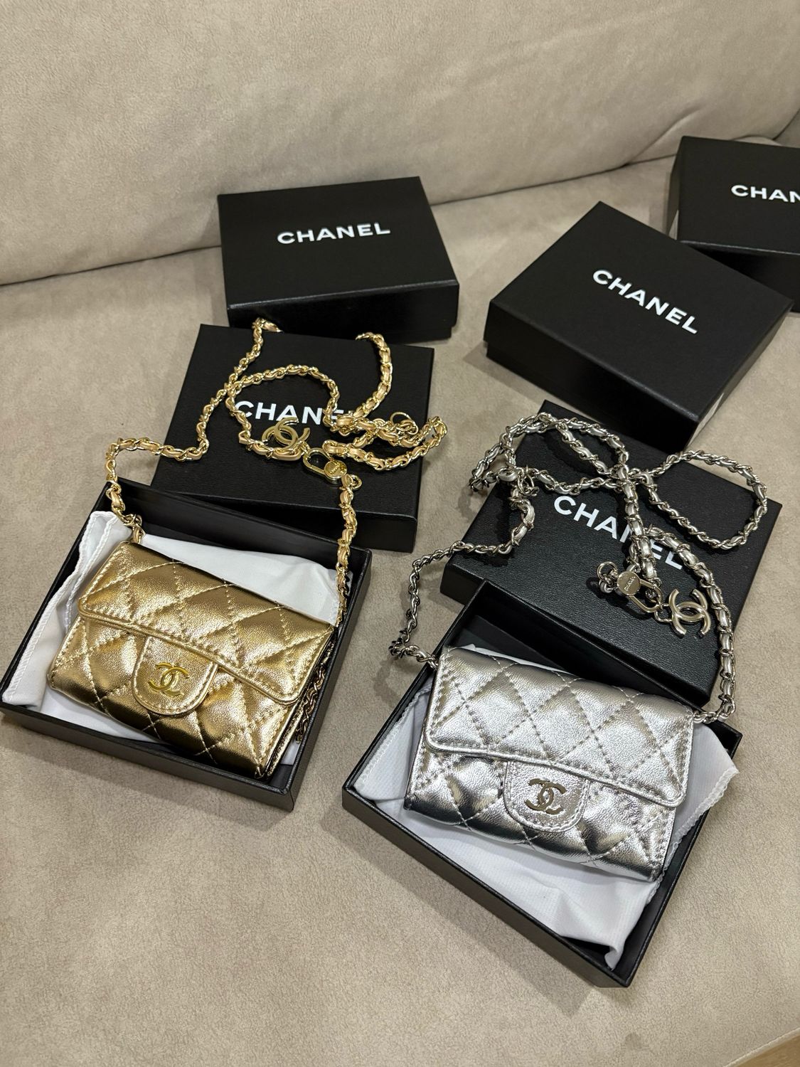 Pochettina cc gold/silver