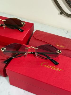 Occhiali esagonali pantera