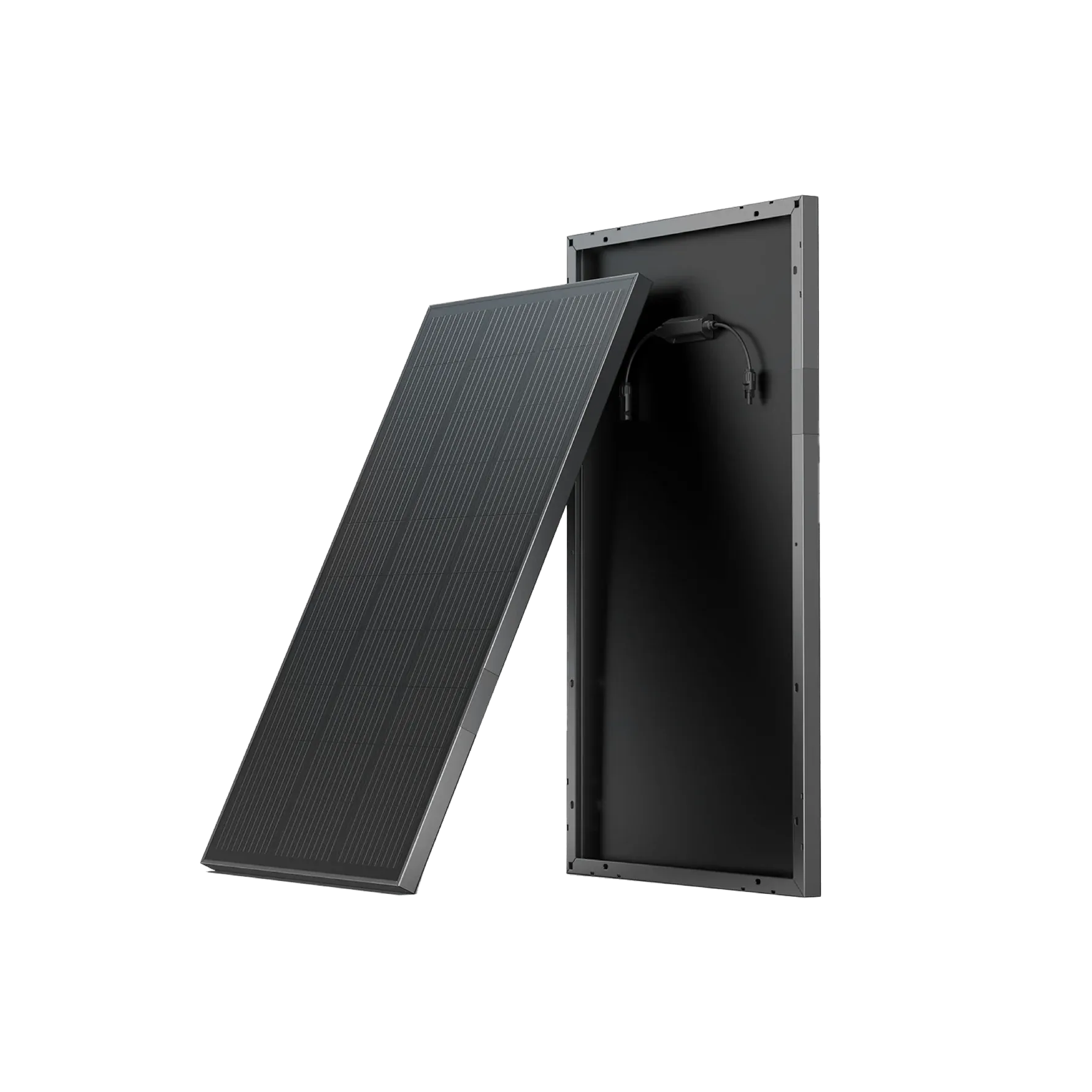 Panneau solaire rigide 100 W EcoFlow (2 pièces)