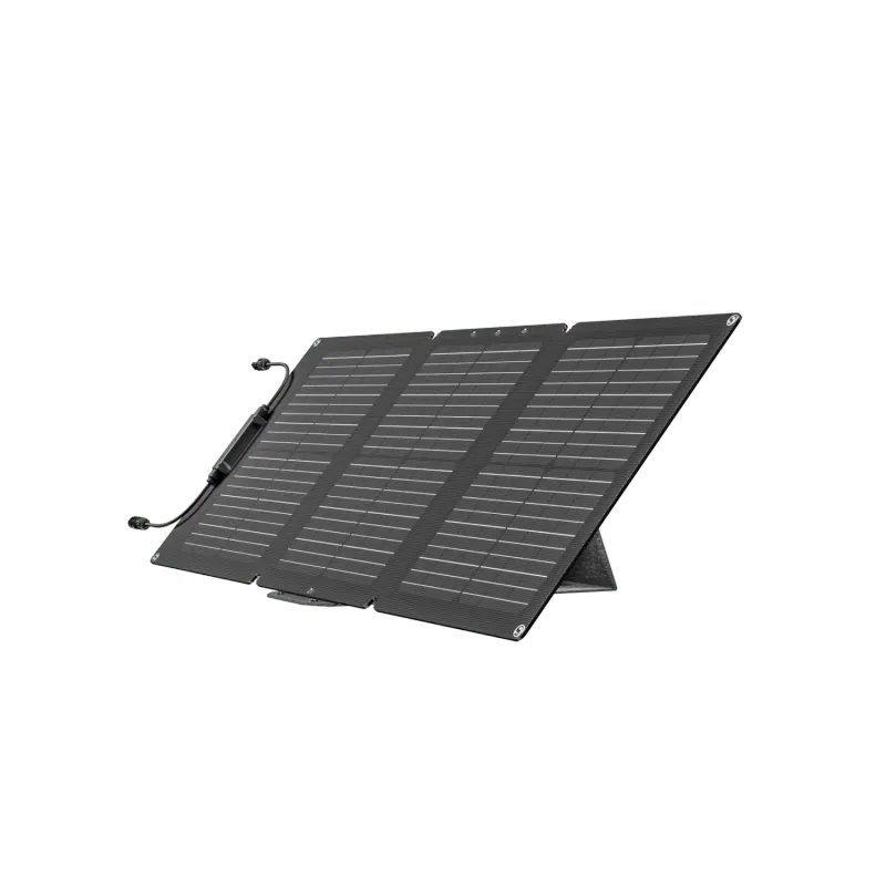 Panneau solaire portable EcoFlow 60 W