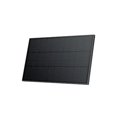 Panneau solaire rigide 100 W EcoFlow (2 pièces)