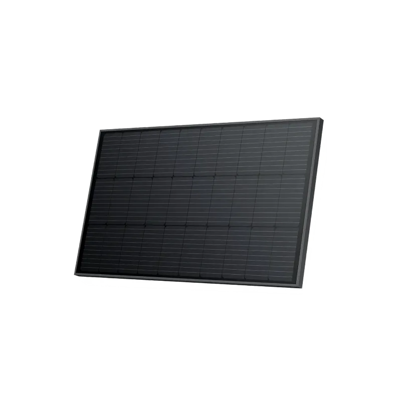 Panneau solaire rigide 100 W EcoFlow (2 pièces)