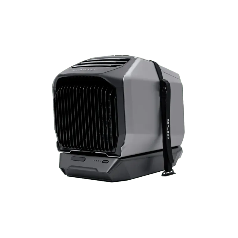 Kit de sangles de fixation EcoFlow WAVE 2