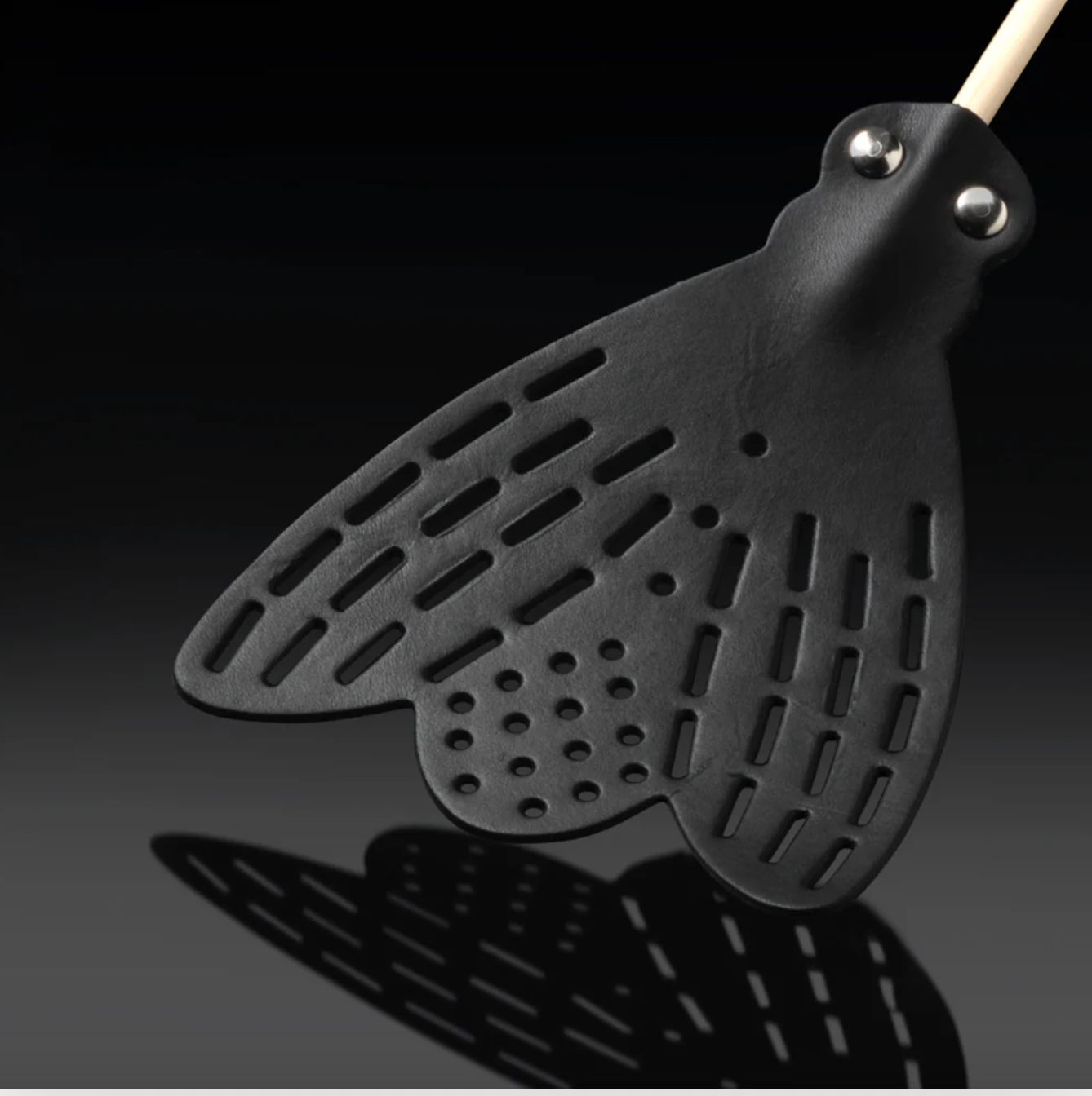Fly Swatter