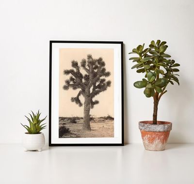 Poster Joshua Tree