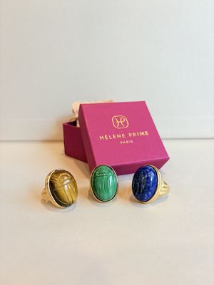 Ring Beetle