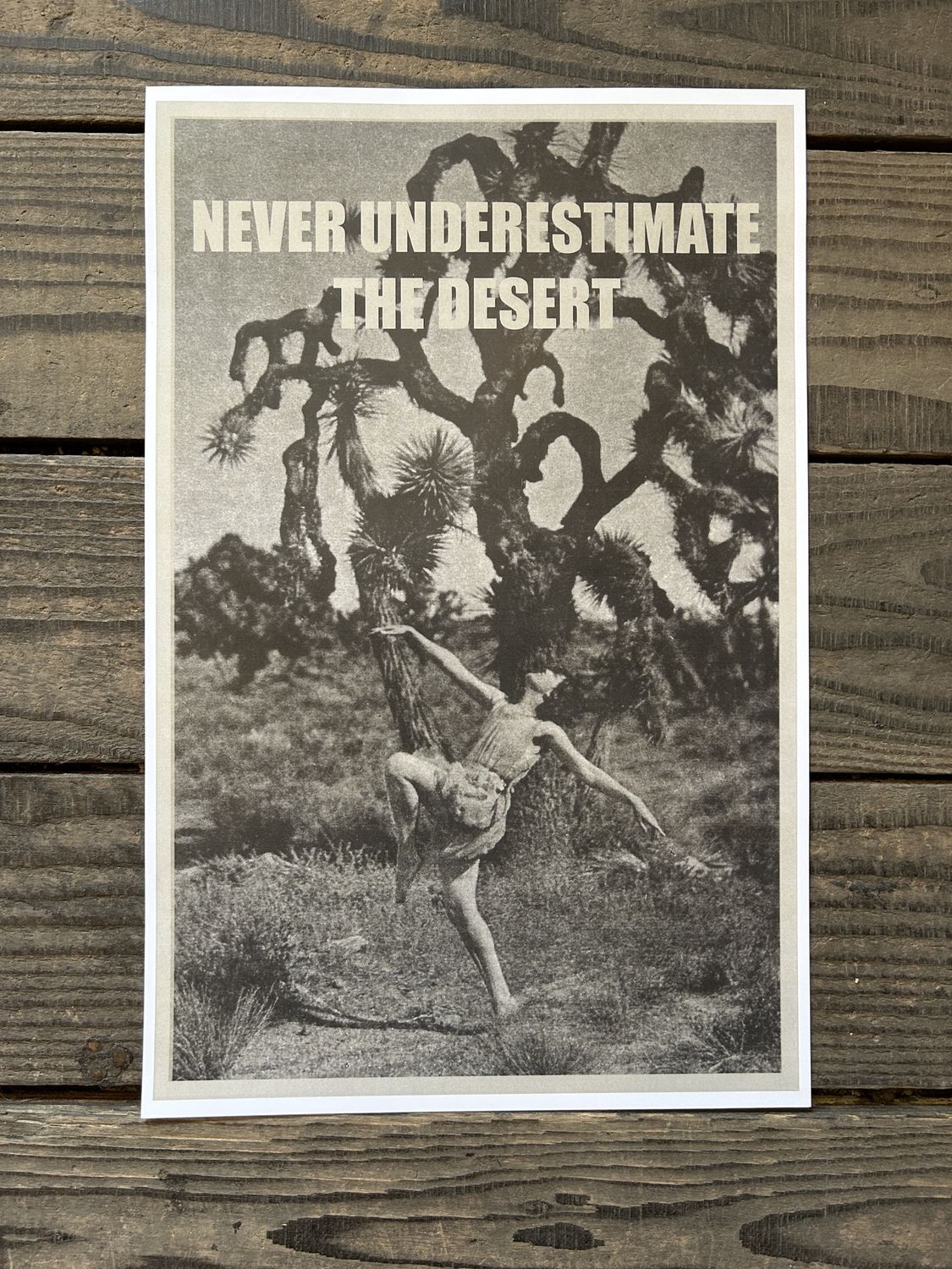 Poster Never Underestimate the Desert