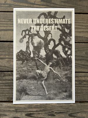 Poster Never Underestimate the Desert