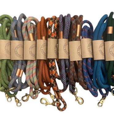 Joshua Tree Dog Leashes