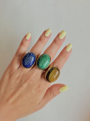 Ring Beetle
