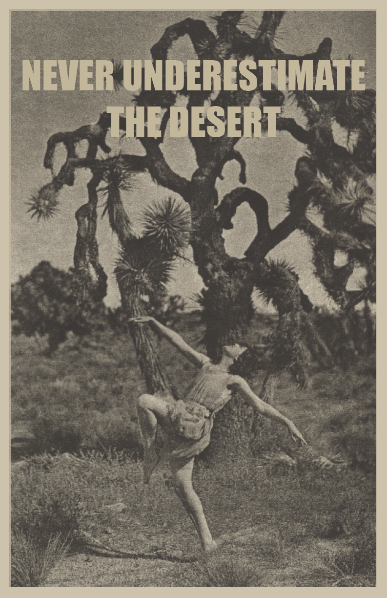 Poster Never Underestimate the Desert