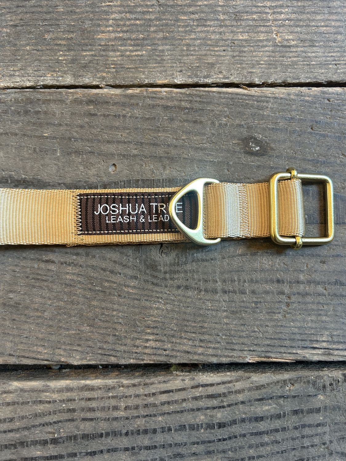 Dog Collar (Repurposed Webbing Rope)