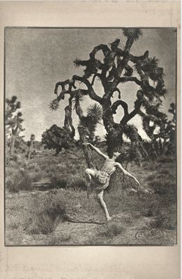 Poster Desert General