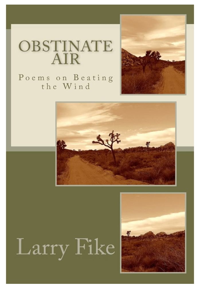 Obstinate Air: Poems on Beating the Wind