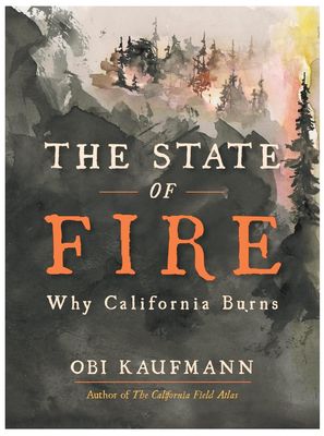State of Fire