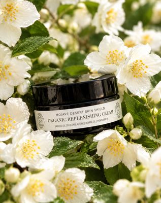 Organic Replenishing Cream 3.4 oz Organic Replenishing Cream 3.4 oz