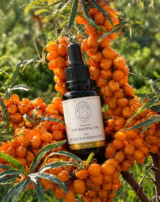 Organic Nourishing Oil 1.0 oz