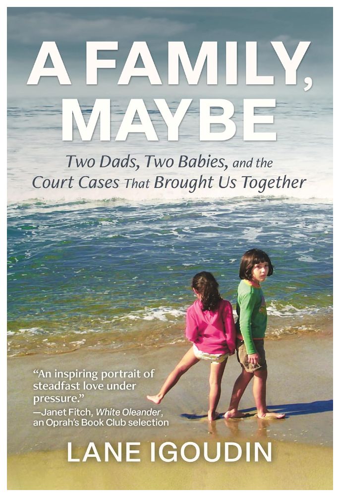 A Family, Maybe: Two Dads, Two Babies, and the Court Cases That Brought Us Together