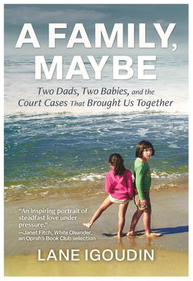 A Family, Maybe: Two Dads, Two Babies, and the Court Cases That Brought Us Together