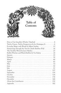 Llewellyn&#39;s 2025 Witches&#39; Datebook