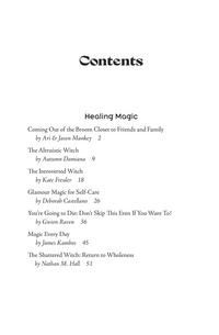 Llewellyn&#39;s 2025 Witches&#39; Companion