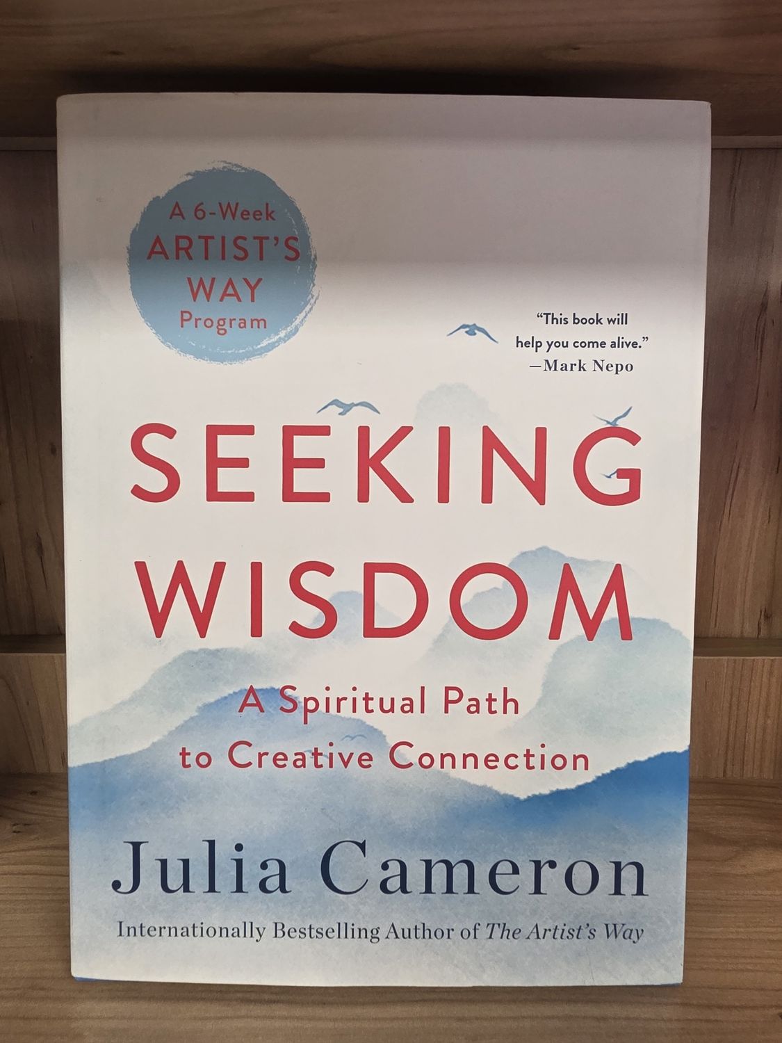Seeking Wisdom: A Spiritual Path to Creative Connection (A Six-Week Artist&#39;s Way Program)