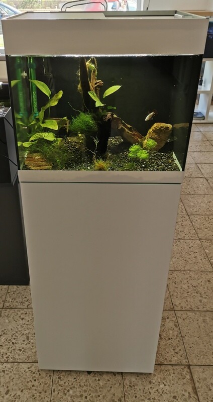 Aquarien