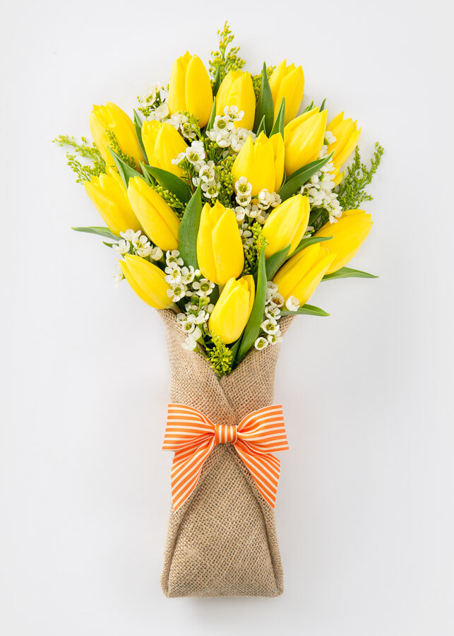 Magnolia Yellow Tulips