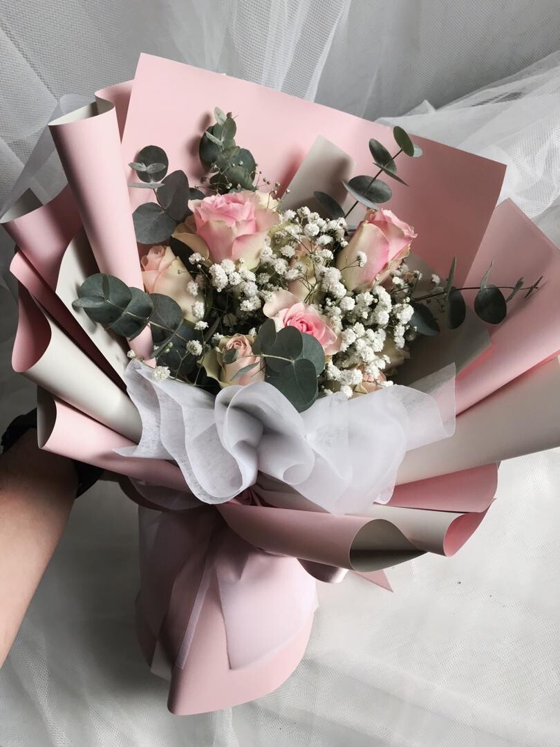 BELLA PINKISH ROSE