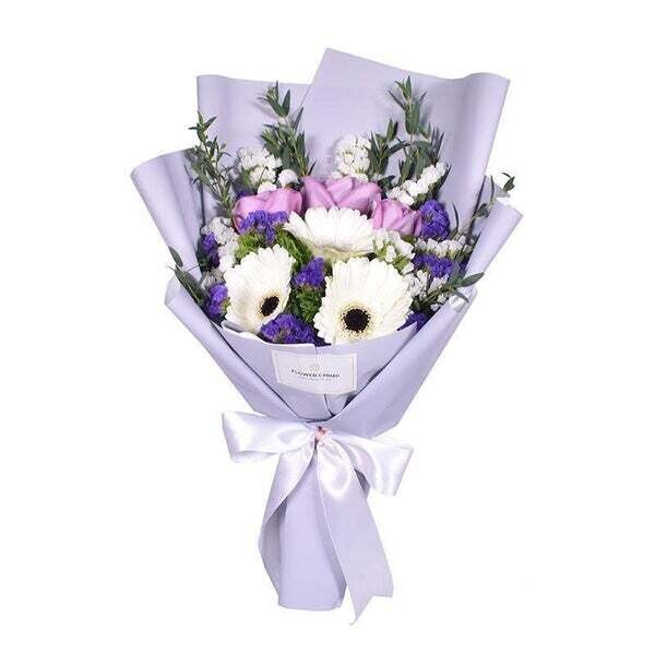 WHITE PURPLISH GERBERA