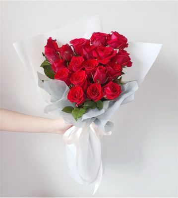 ALICE RED ROSE