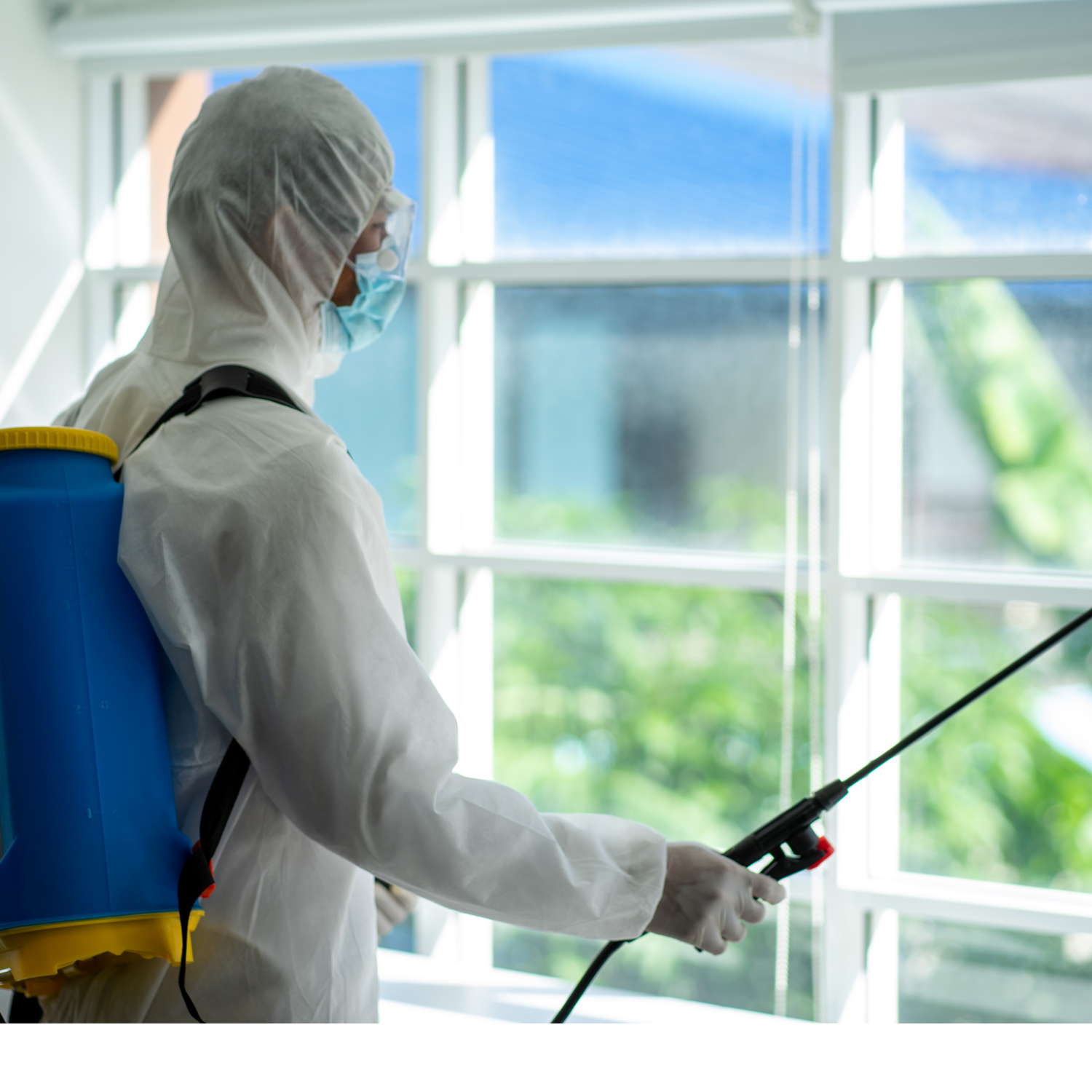 Bond Exit End Of Lease Cleaning Services