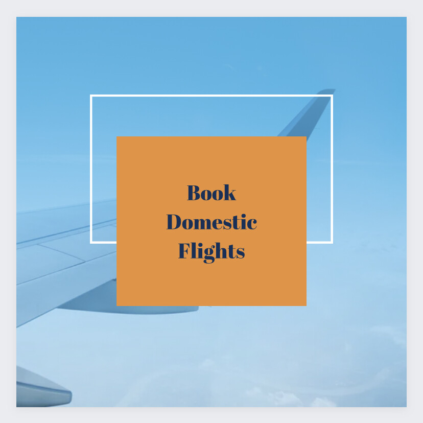 Domestic Flights