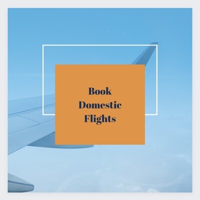 Domestic Flights