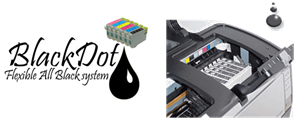 Epson 1430 All Black Inkjet Cartridges