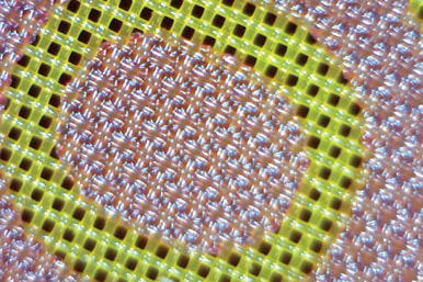 Ulano QT-Discharge Emulsion