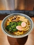 Veggie Udon