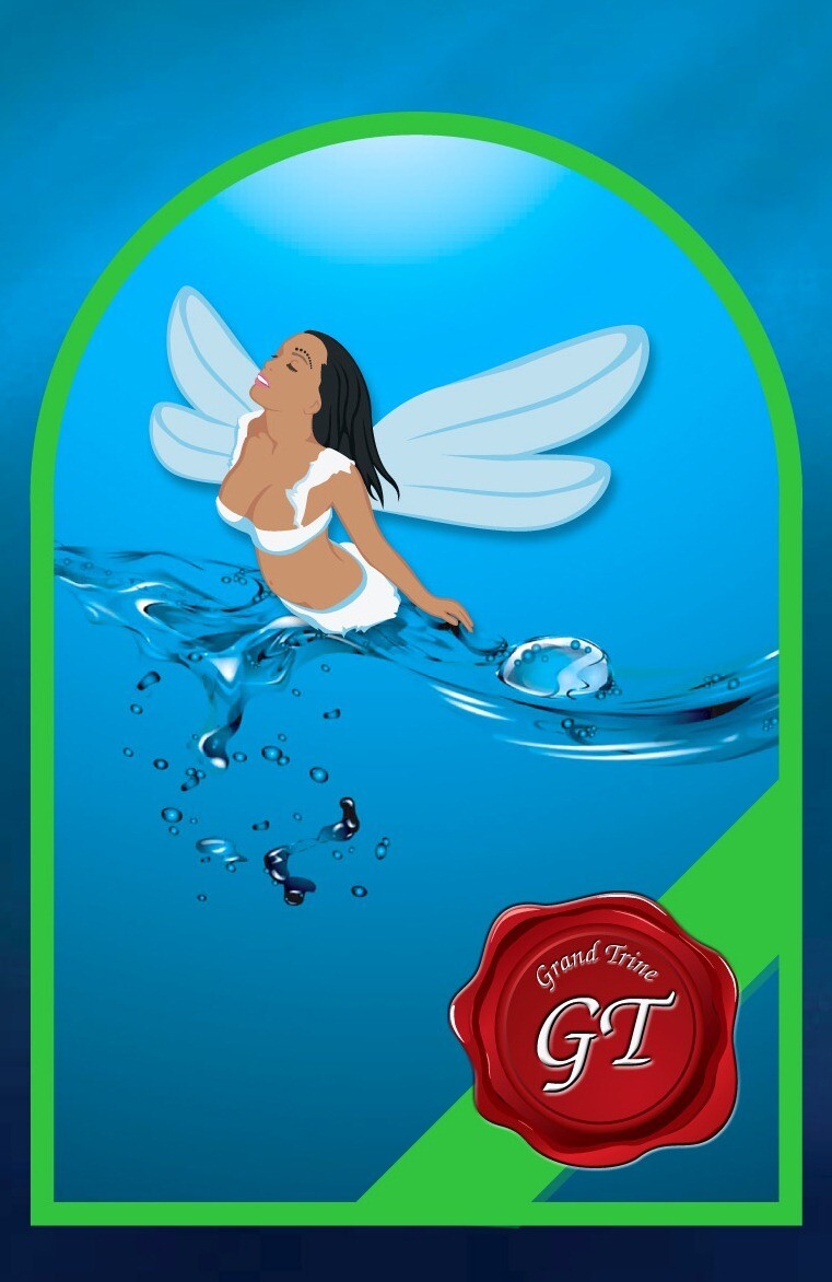 33 Summary of the Grand Trine System