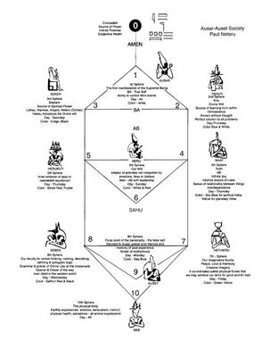 14W The Secrets of the Tree-of-Life