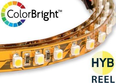 Hybrid Bright White/Warm White LED Strip Light by the 5m reel