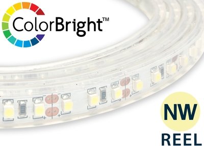 Outdoor ColorBright™ (IP65) Natural White LED Strip Light