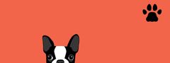 French Bulldog Store