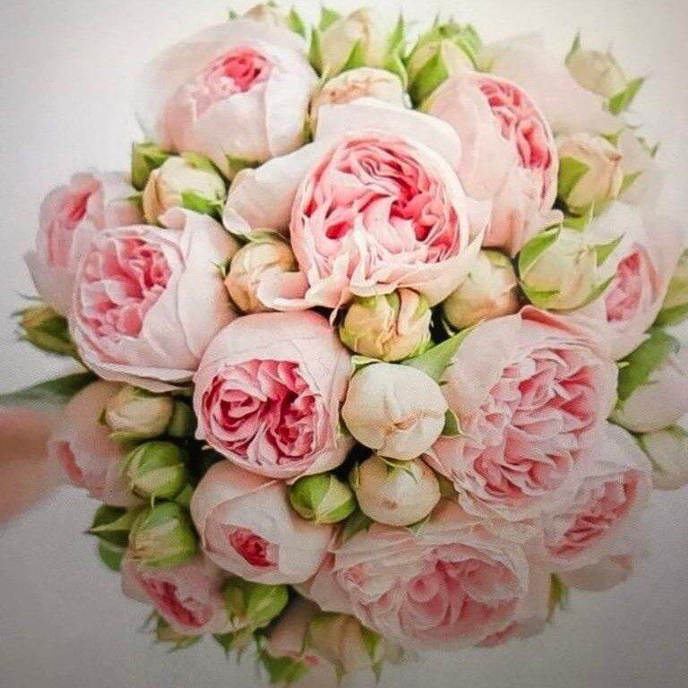 #11 - Bouquet de mariée en pivoine (en saison)