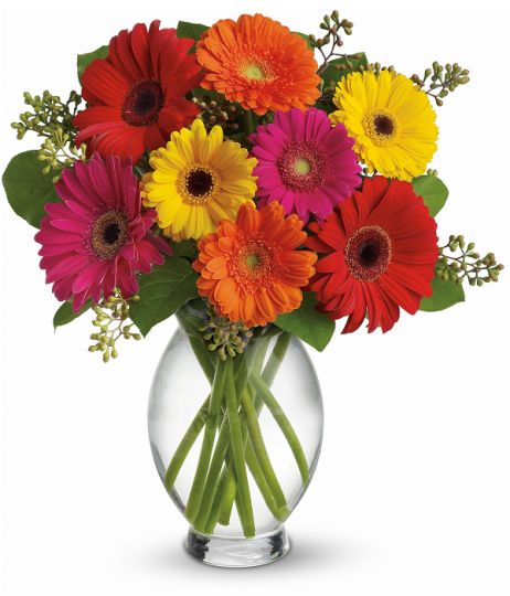#5 - Bouquet de gerbera et vase