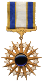 Distinguished Service Medal - Large