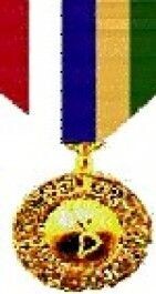 Inter-American Defense Board Medal - Large