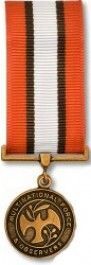 Multinational Force and Observers Medal - Mini