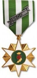 Vietnam Campaign Medal - Large