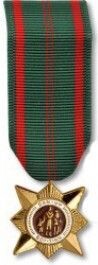 Vietnam Civil Action Medal - Mini