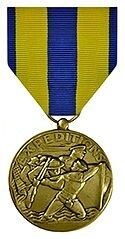 Navy Expeditionary Medal - Large Anodized